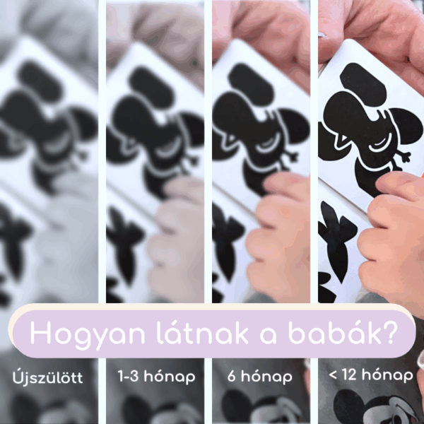 XXL Fejlesztő csomag – Minden, ami kell a babának
